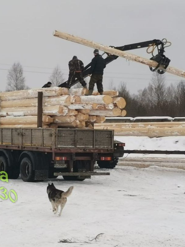 Заголовок